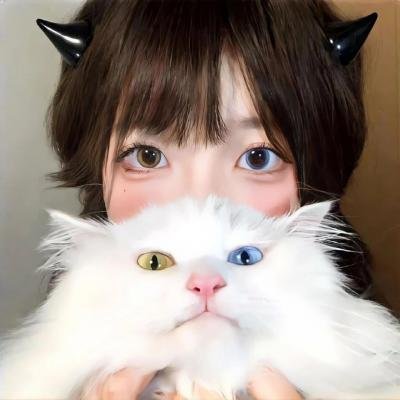 百合绽放 封面